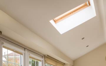 Bareless conservatory roof insulation companies