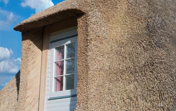 Bareless thatch roof disadvantages